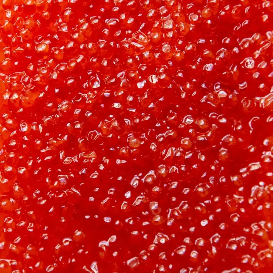 Ossetra Caviar 20 g